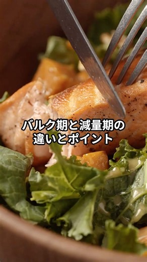 バルク期と減量期の違いとポイント