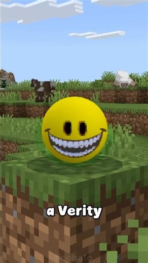 DO NOT install the Verity Mod in Minecraft ❌💀
