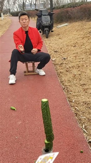 Flying Card Trick, Unbelievable CARDS #FLYINGCARDS #SPECIALSKILL