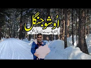 Kalam Ushu Forest - A Winter Wonderland Like Russia! ❄️🌲