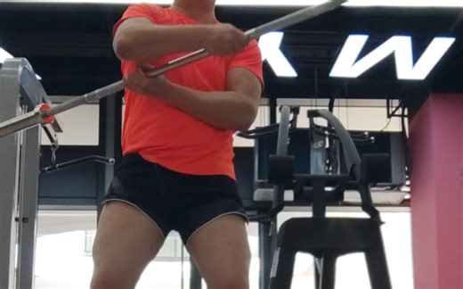 【大猫的BotN频道】一段长杆基础动作练习-备战全甲世界杯