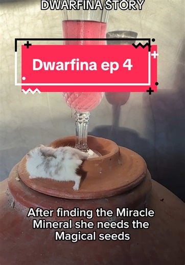 Dwarfina's Epic Journey to Find Magic Seeds