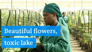 Beautiful flowers, toxic lake
