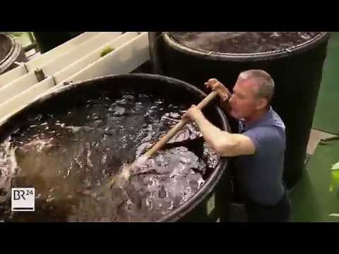 Aquaculture + Hydroponics = Aquaponics | BR24
