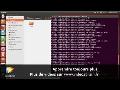 Ubuntu - Linux : Gestion des fichiers avec la ligne de commandes