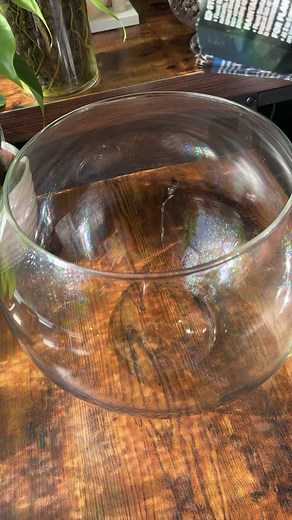 The caviar of propagation 🤌🏼 Every time I feature fluval stratum on a reel I always get asked what am I using and why I’m using it. So let me explain! Fluval Stratum is a popular substrate choice among aquarists and plant enthusiasts, especially those who keep planted aquariums. However, it works incredibly well for rooting houseplant propagations too! Especially if you’re trying to root Alocasia corms. Here are some of the benefits… 🌿 Nutrient-rich Composition: Fluval Stratum is made from vo