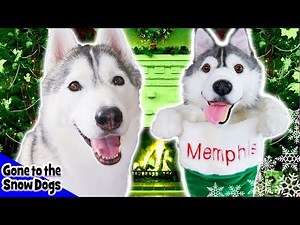 Cuddle Clone Christmas Stockings | Clone your Dog