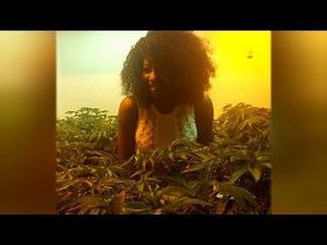 Reporter Who Quit on Live TV for Marijuana Fight Could Face 54 Years in Prison