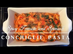 Spicy Conchiglie pasta with tomato and basil | Shell Pasta | Tasty Indian
