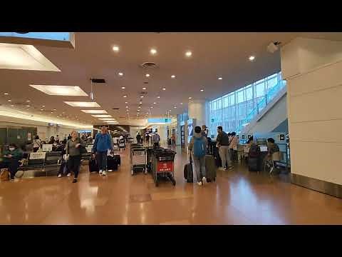 羽田空港 国際線から国内線へ乗り継ぎ