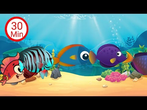 Fish Eat Fish And Fish Fight! Fish Animation 🐠