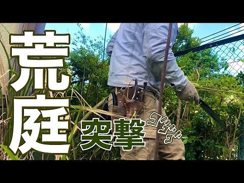 荒れた庭をきれいに再生、ジャングル突撃パターン 【荒れ庭001】