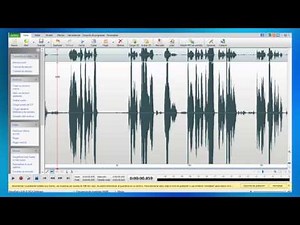 Descargar y usar WavePad