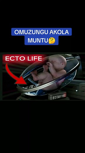 Exploring Project Ecto Life in Uganda