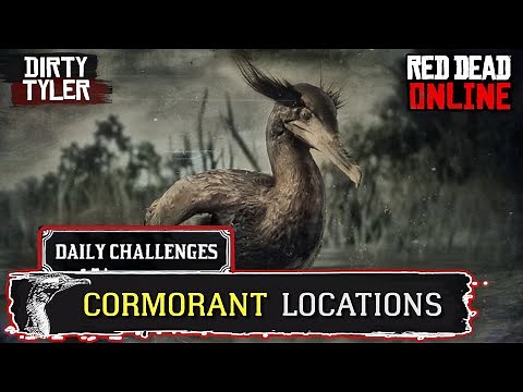RDR2 Cormorant Locations Red Dead Online Daily Challenges