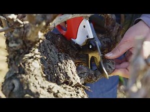 The FELCO XPRO® blades. A revolution in pruning !