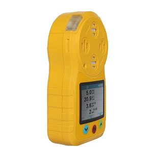 [Hot Item] Gastiger1000 Diffusion-Type Multi-Gas Detector