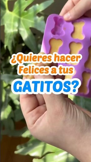 Premios caseros para gatos: 2 ingredientes y listo 🐱✨#gatos #alimentossanos