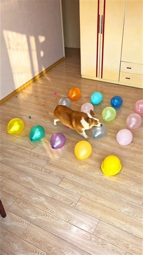 टॉमी ने मेरा सारा बैलून फोड़ दिया🥵 ll Carriage House wooden artist ll#cartoon #shortvideoshortvideo