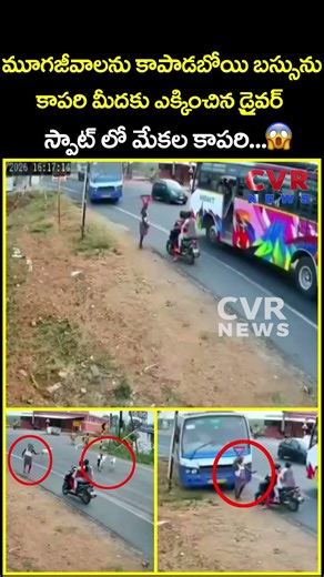 మూగజీవాలను కాపాడబోయి బస్సును కాపరి మీదకు ఎక్కించిన డ్రైవర్ స్పాట్ లో మేకల కాపరి...| Viral | CVR News