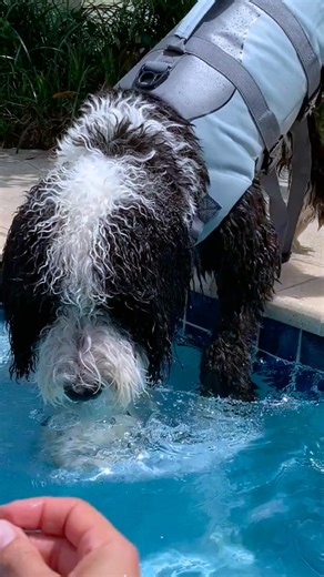  Henry’s already starting his scuba classes… what about you? ...