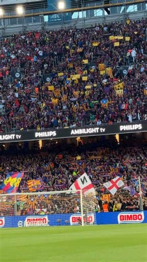 Visca el Barça i visca Catalunya💛 ❤️💛 ❤️💛 ❤️💛 ❤️💛 #shorts #fcbarcelona #ElClásico