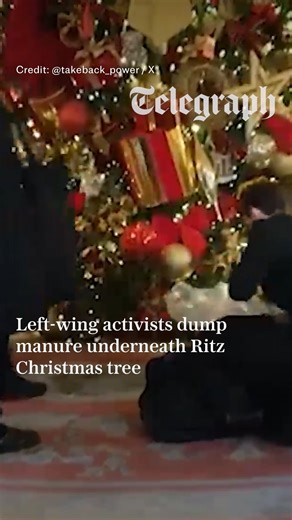 🔴 Left-wing activists have emptied bags of manure under a Christmas tree at the Ritz hotel in London Find out more ⬇️ https://www.telegraph.co.uk/news/2025/12/03/activists-dump-manure-ritz-christmas-tree/ | The Telegraph