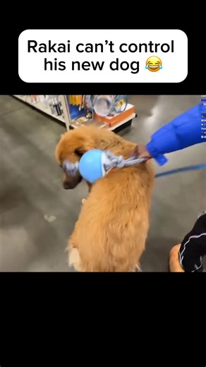 Rakai's Hilarious Struggles with His New Dog