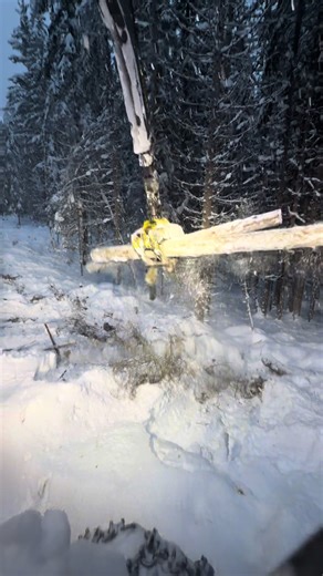 Challenges of Logging in Heavy Snow Conditions