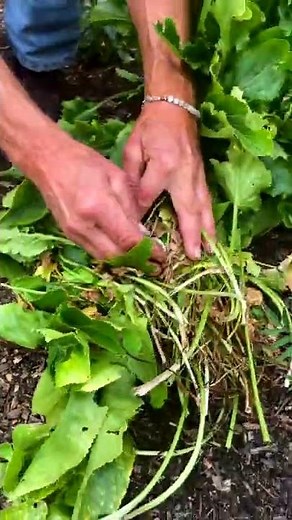 Slug reduction without pellets and barriers