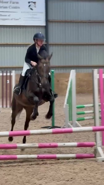 First Time Out in 7 Months: A Horse's Great Jump