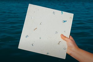 This sustainable material made from shell waste is cheaper & eco-friendly alternative to concrete! - Yanko Design