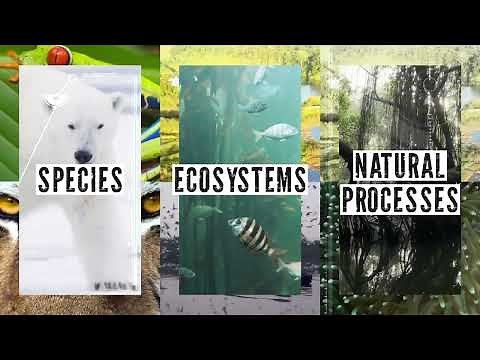 Nature Positive: how to measure the indicators of a nature-positive world