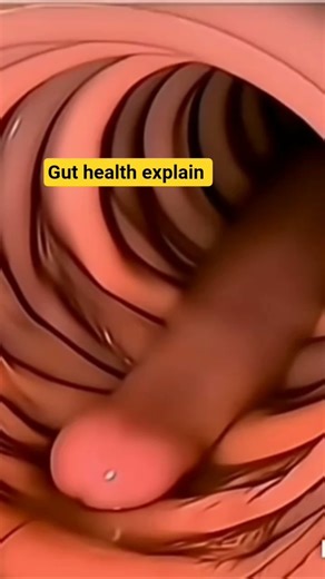 Gut Health Explained Part 2 | Digestive System, Microbiome & Intestinal Problems 3D Animation #gut