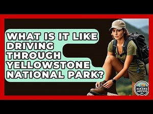 What Is It Like Driving Through Yellowstone National Park? - The Hiker's Advice