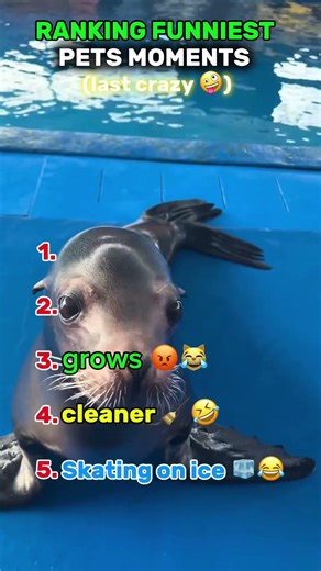 Animals Being Funniest Creatures Ever 😂🐶🐱