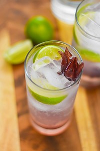 Easy Hibiscus Gin & Tonic with Elderflower - Dash of Jazz