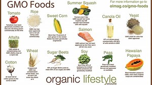 Why GMO Foods Should Be Banned