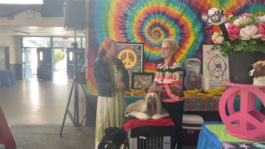 Deb Cooper chats with Susan Giles about her group placements at Woofstock 2024 thus far. #Woofstock2024 #caninechronicletv #caninechronicle #tabletalklive #TableTalk | The Canine Chronicle