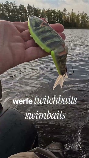 Jerkbait angeln in Schweden auf Hecht