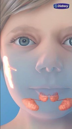 How Carbohydrates are Digested in Our Body | Diabexy