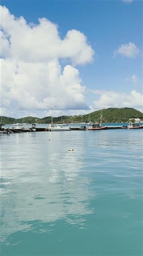 St. Thomas Harbor Boats | Cruise by Sandra ⁠#stthomas #usvi #islandlife