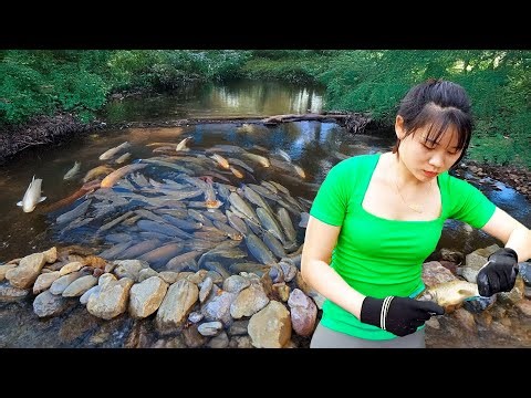 Harvesting Giant Fish in the Wild | Catching Fish, Trapping Fish, Hand Fishing Techniques