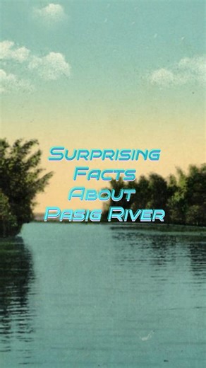 Surprising Facts About Pasig River The old Pasig River, once a thriving waterway, played a crucial role in Manila's history. Lined with lush nila plants along Manila Bay, it was a source of inspiration for the city's name. In its cleaner days, the river hosted a community of duck raisers in Pinagbuhatan and Kalawaan, sustaining families for decades. People navigated the city using traditional houseboats called "casco," finding both transportation and refuge. The iconic 1846 Pasig River Light, st
