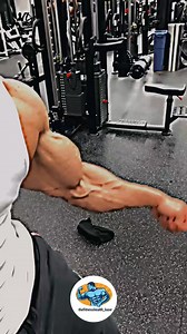 🔥 Top 5 bicep exercises for massive gains 💪...Comment GROW to get the free plan to bulk without getting fat.. | thefitnesshealthbase