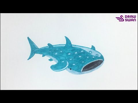 How to draw a whale shark