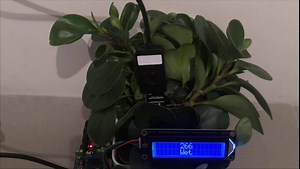 Gravity: IP65 Capacitive Soil Moisture Sensor for Arduino / ESP32 / Raspberry Pi