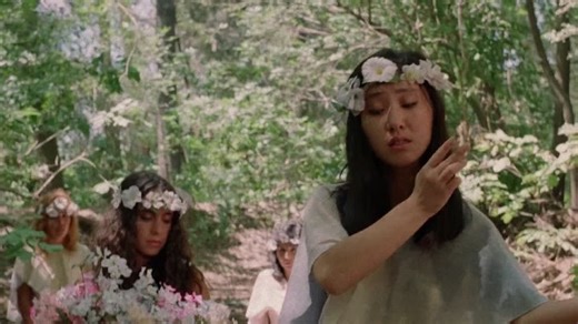 Amazons. 1986. Quest, Action, Fantasy.