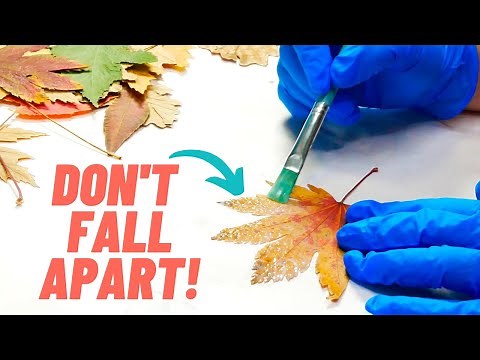 How to Preserve Fall Leaves| Learn how to Press, Dry and Seal Leaves