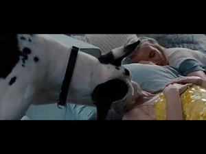 Thunder Licks Kate - The Other Woman